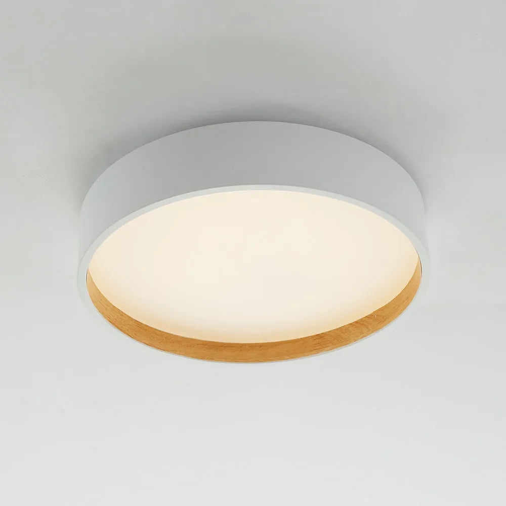 Vexa Ceiling Light