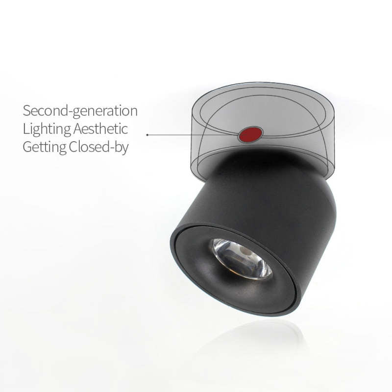 Lurix Spotlight Modern LED Flush Mount Ceiling Light, Black/White