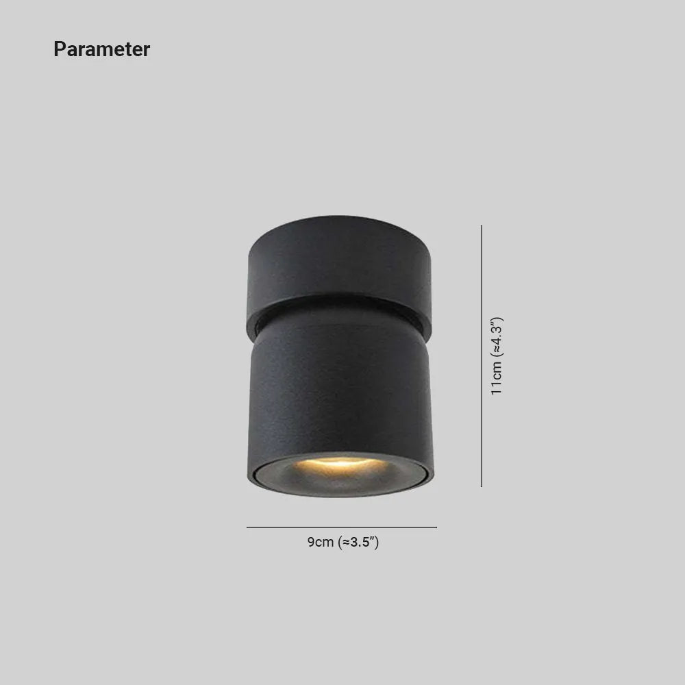 Lurix Spotlight Modern LED Flush Mount Ceiling Light, Black/White