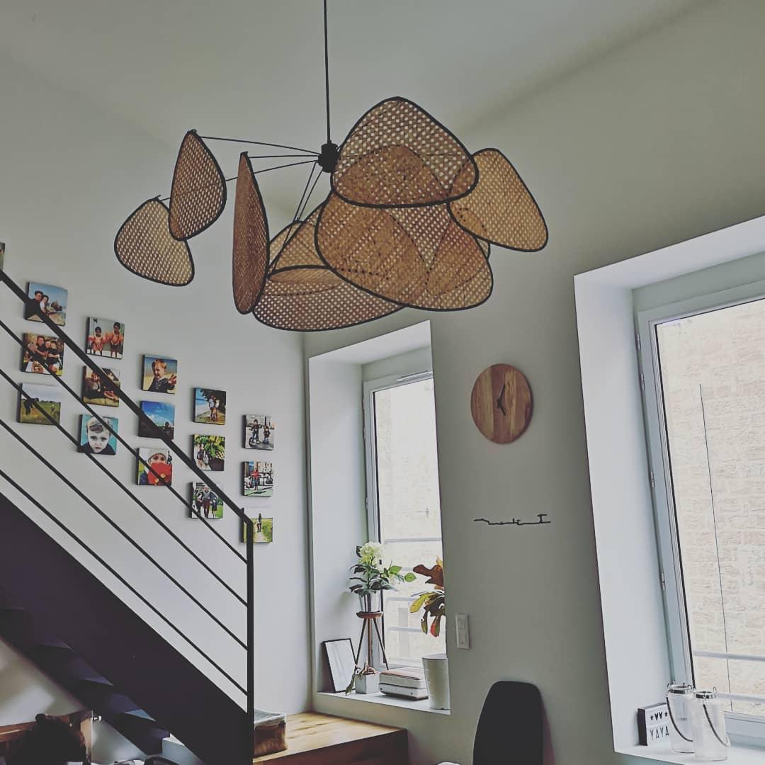 Screen Cannage Suspension - Blowlighting