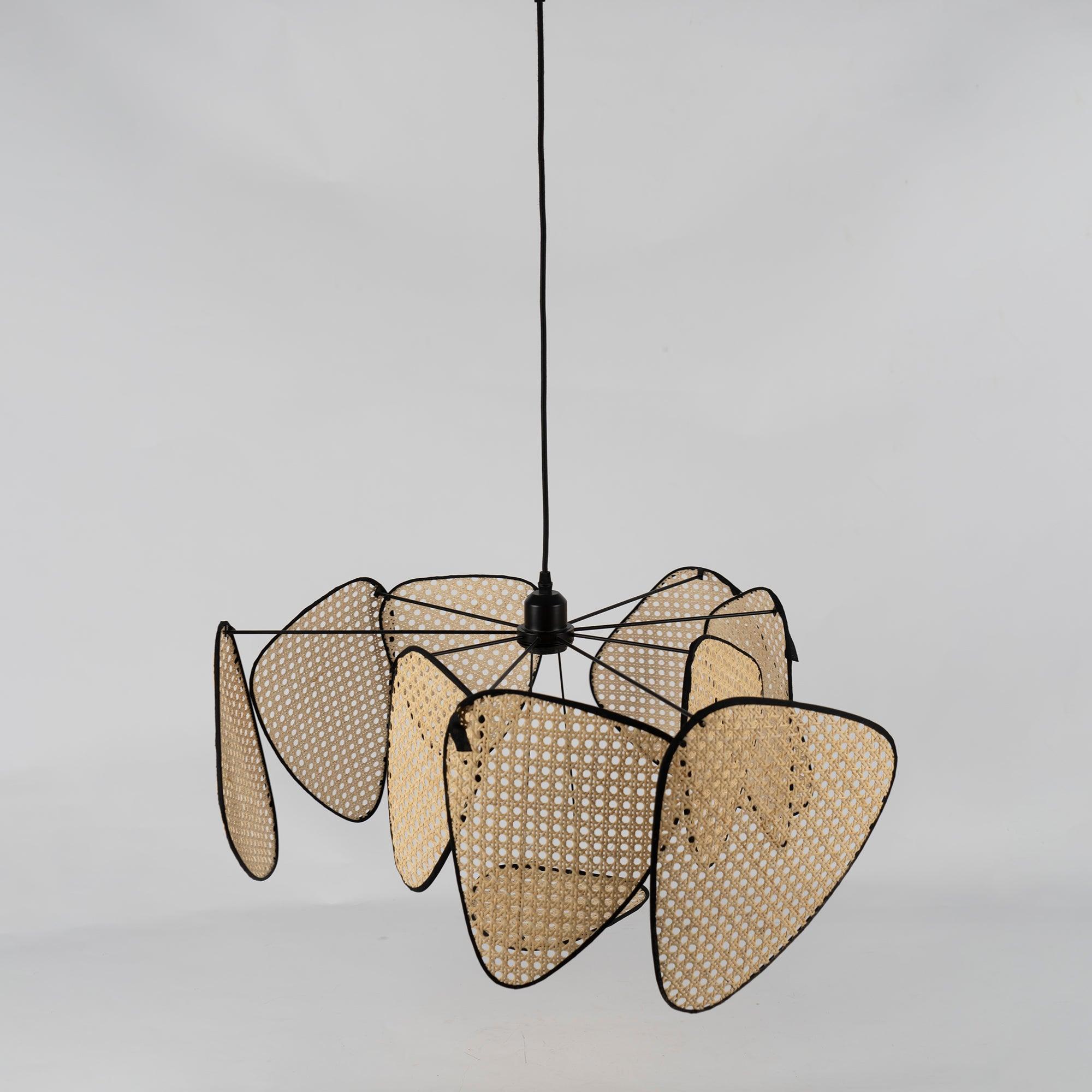 Screen Cannage Suspension - Blowlighting
