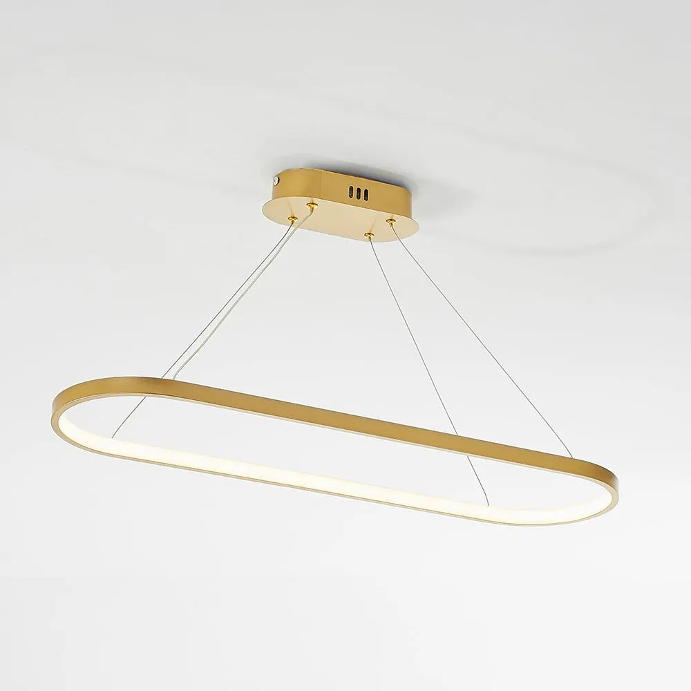 Avenor Minimalist Oval Interior Hanging Pendant Light
