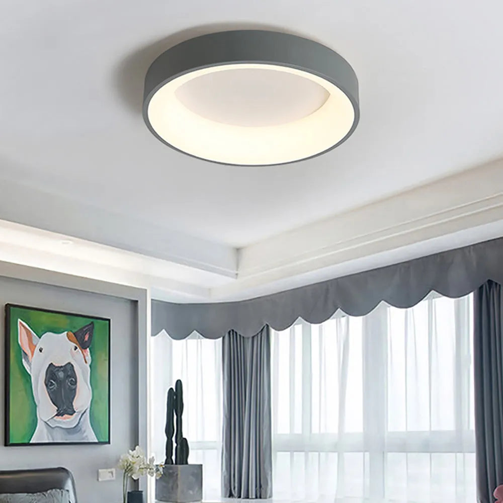 Noxa Ceiling Light