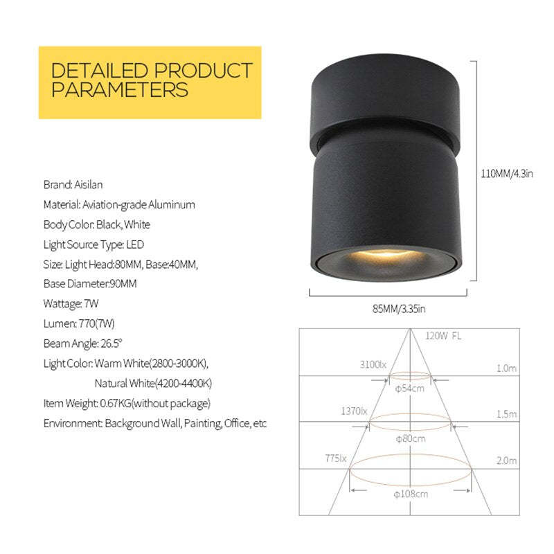 Lurix Spotlight Modern LED Flush Mount Ceiling Light, Black/White